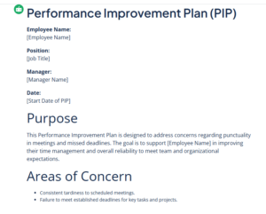 Performance Improvement Plan generator output
