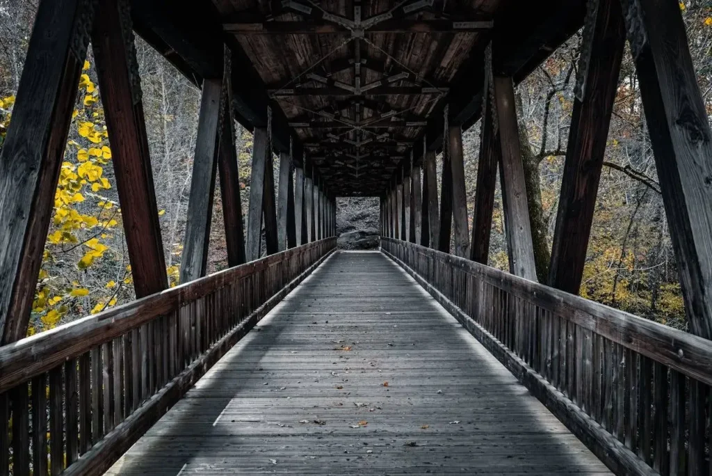 A wooden bridge in the forest