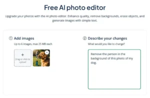 Screenshot of an AI prompt for Quillbot's photo editor to remove a person from a photograph of a dog