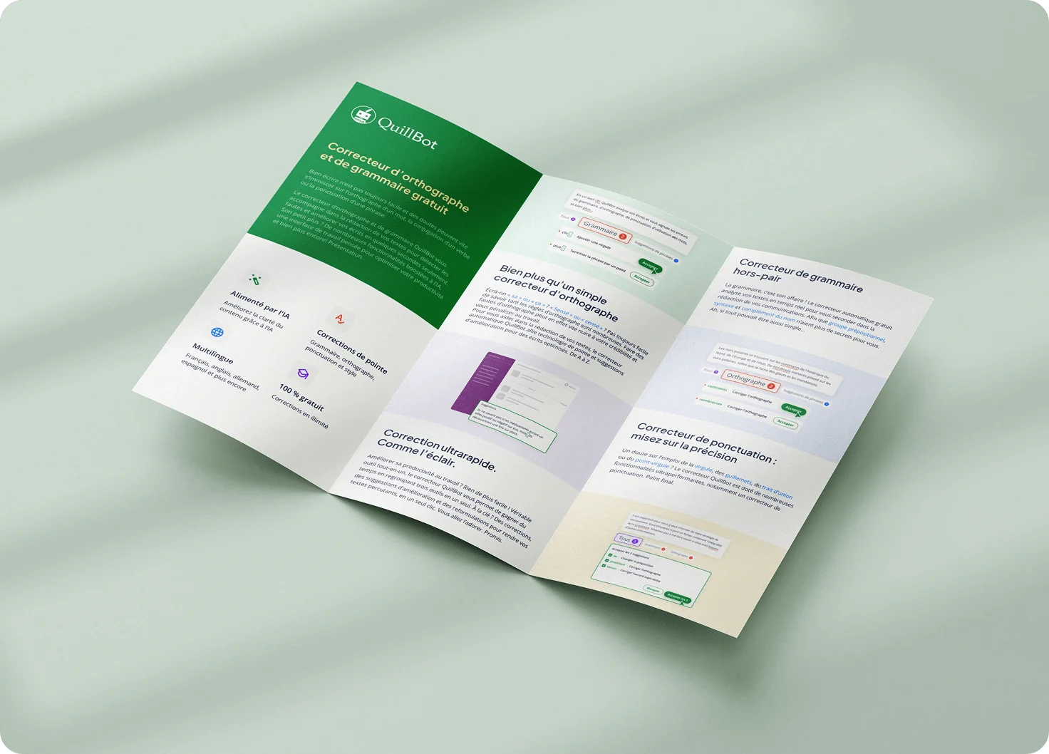 brochure mockup
