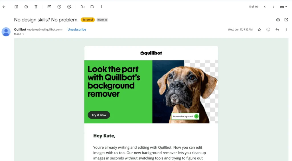 An example of a Quillbot email as seen on desktop
